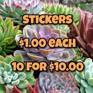 10/$10 Succulent Plant Sticker Gardening Cacti Grow